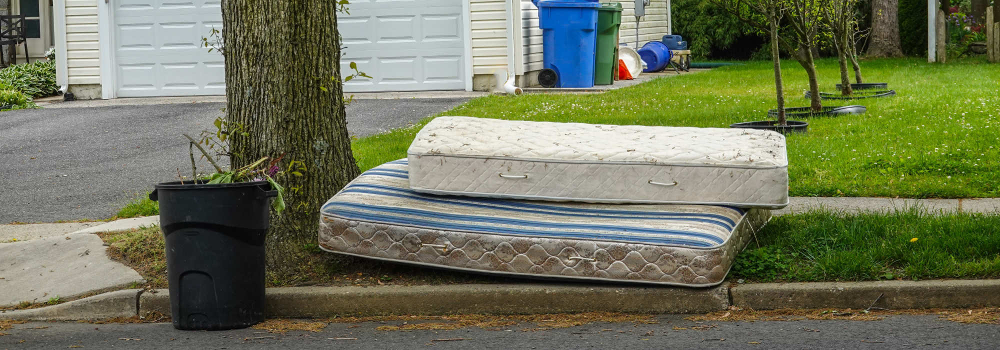 Cost of rubbish removal Wellington, The Hutt, Porirua, Kapiti